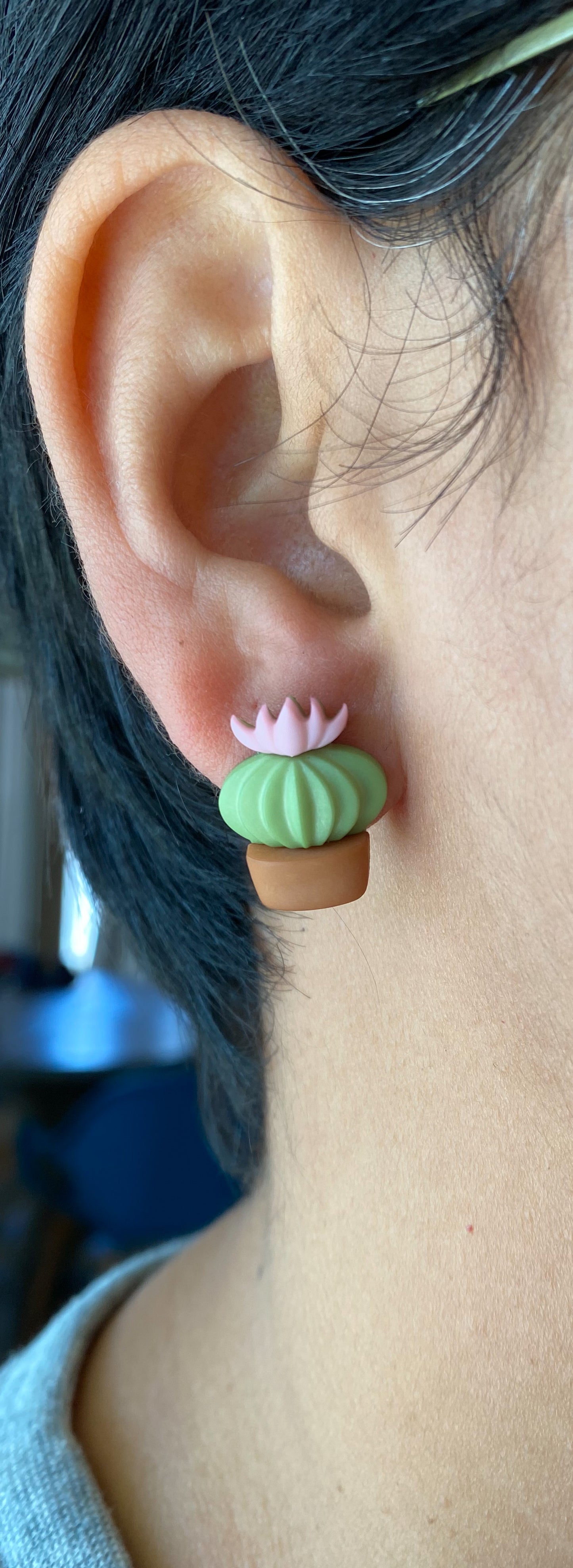 Cactus Earrings Cactus Gift