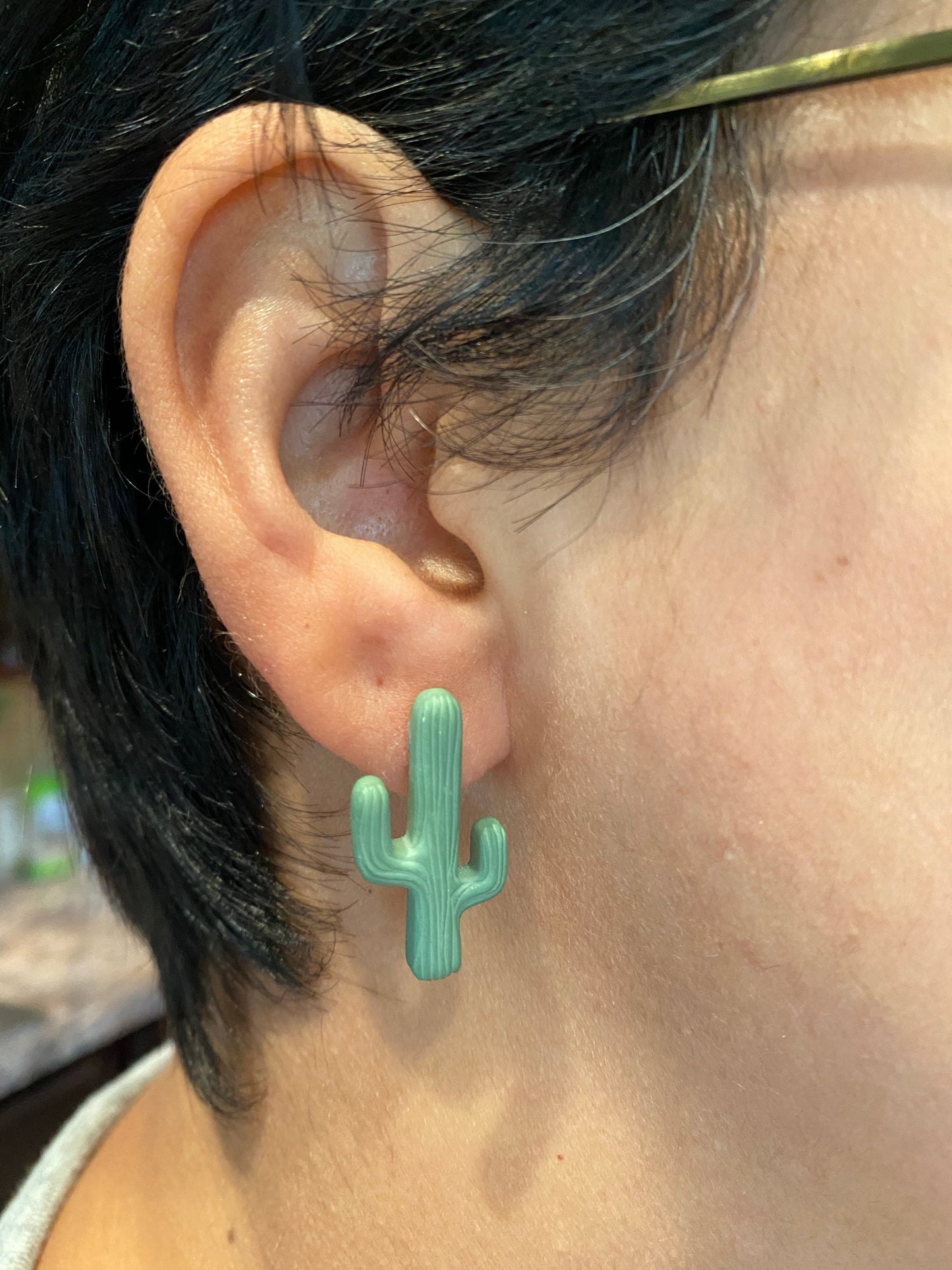 Cactus Earrings Cactus gift