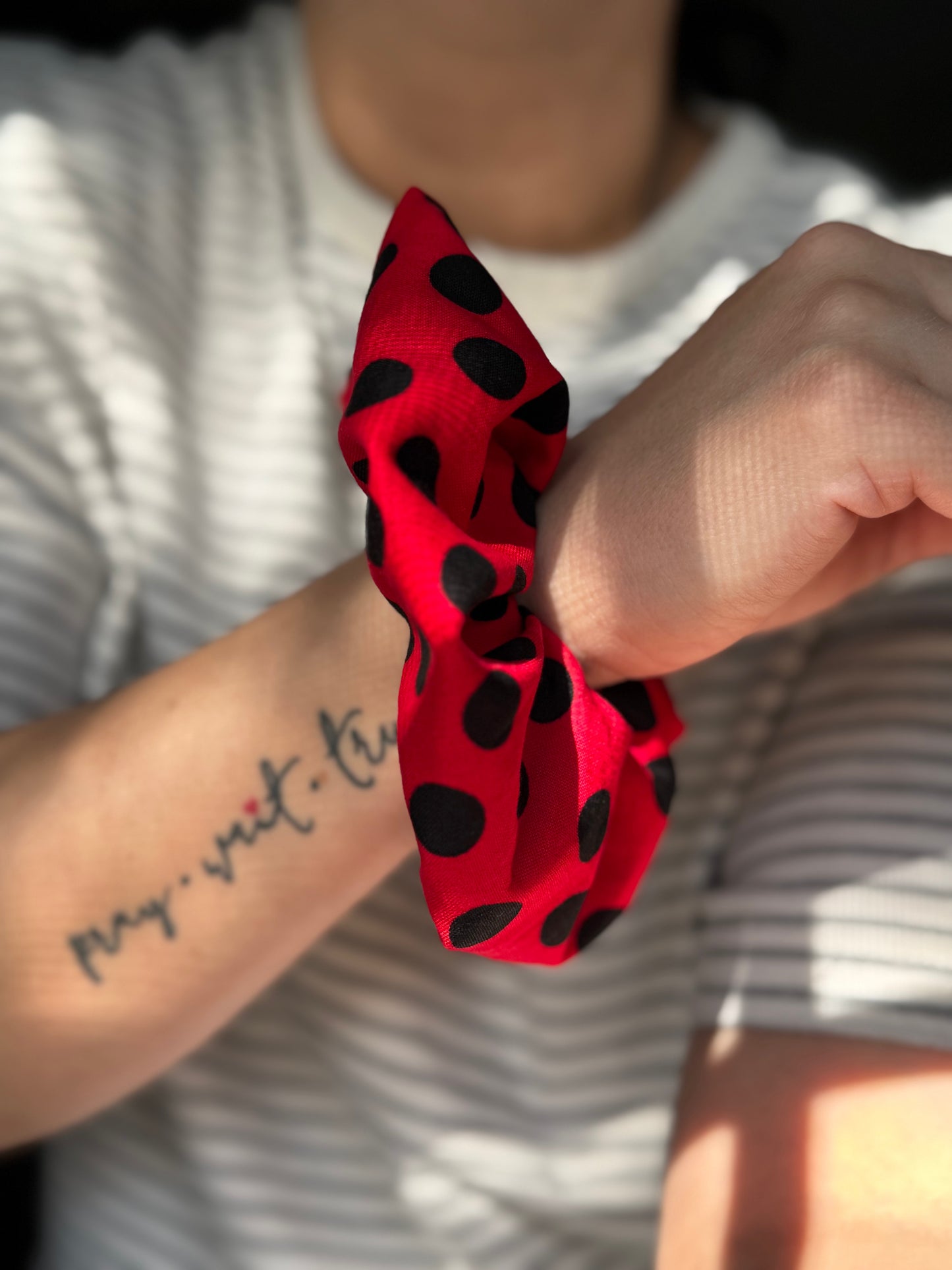 Ladybug Hair Tie Black and Red Polka Dot Ponytail Scrunchie