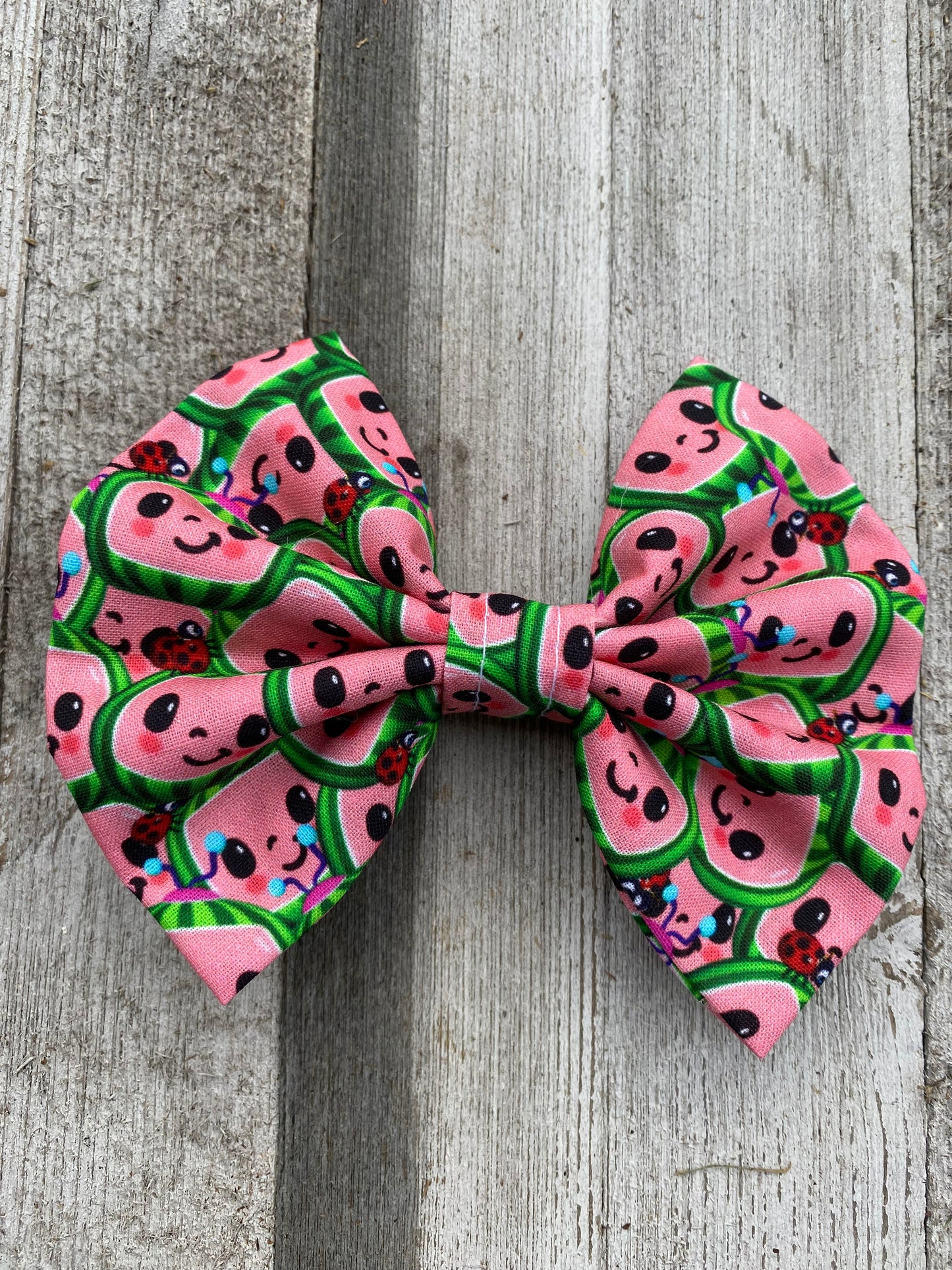 Cocomelon Little Girls Hair Bow gift