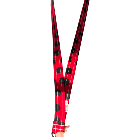 Ladybug Lanyard Cute Lanyard ID Card Badge Holder Cool Keychain Lanyards for Women Men Teacher
