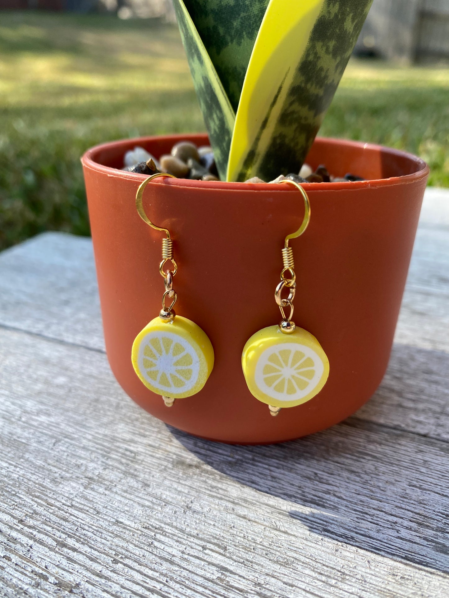 Fruit Dangle Earrings Gift