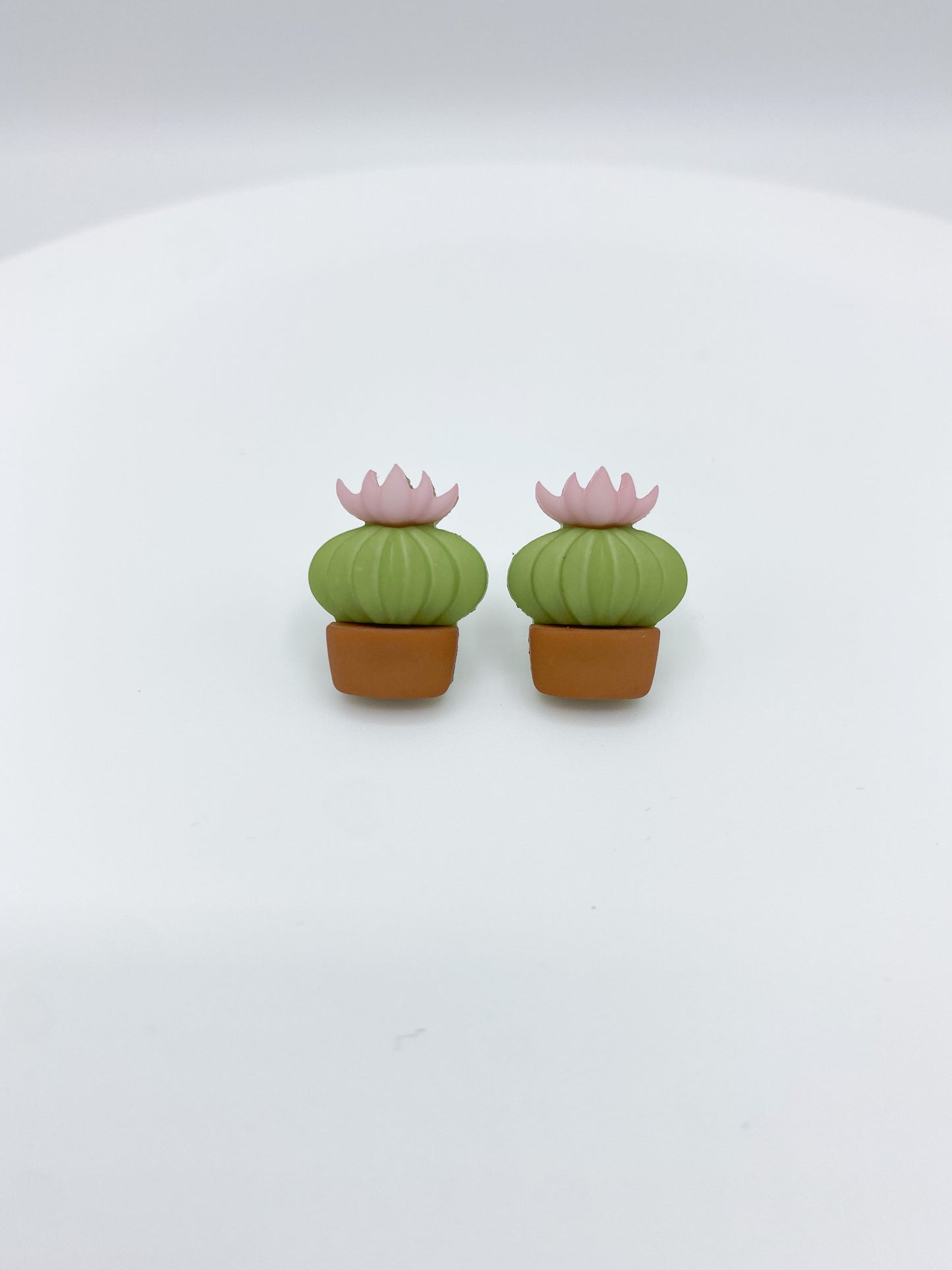Cactus Earrings Cactus Gift