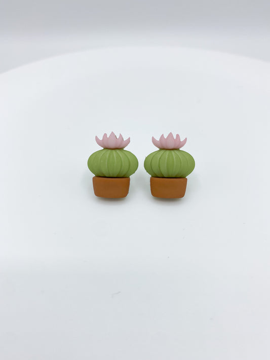 Cactus Earrings Cactus Gift